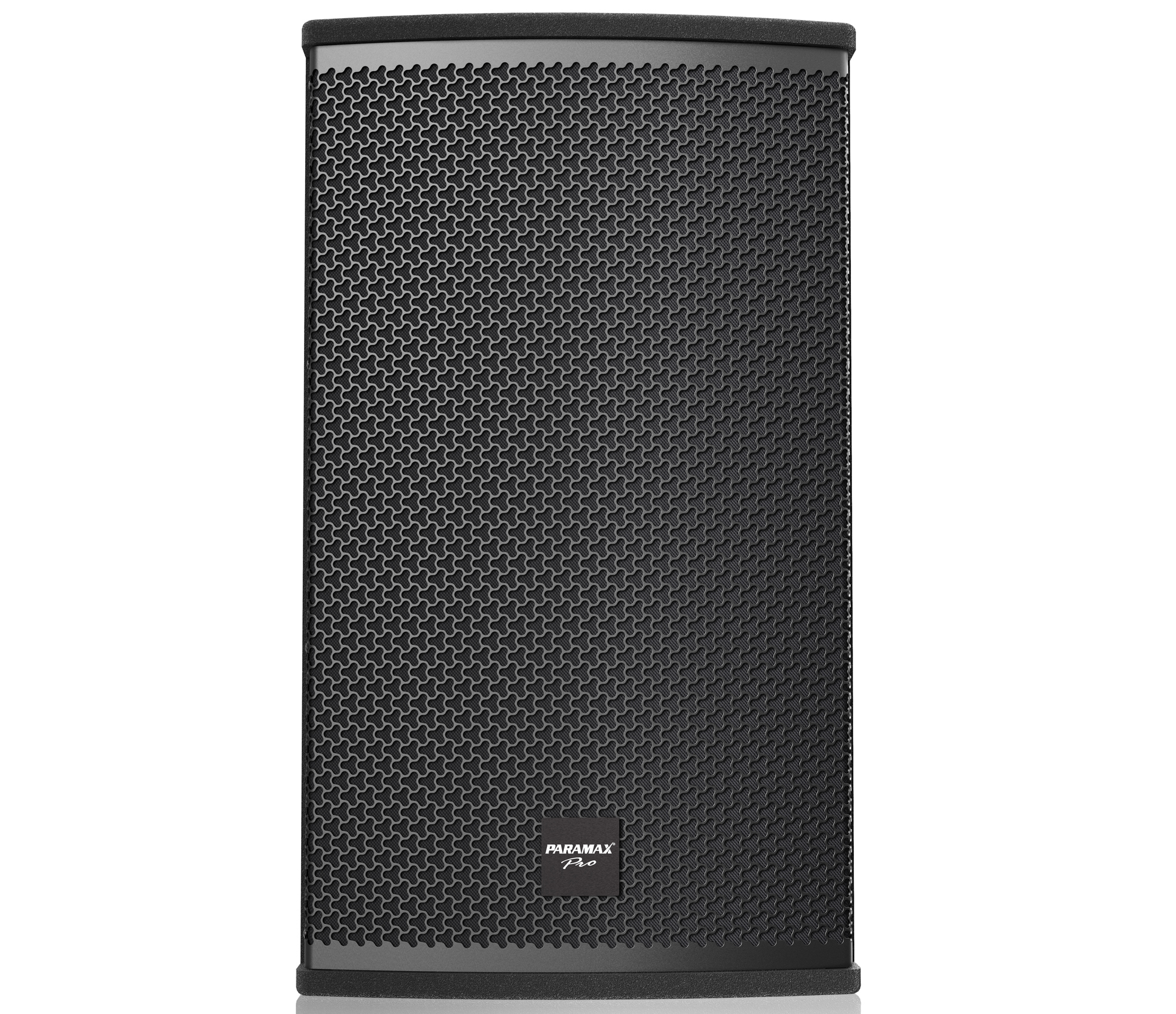 Loa Paramax Pro-S30