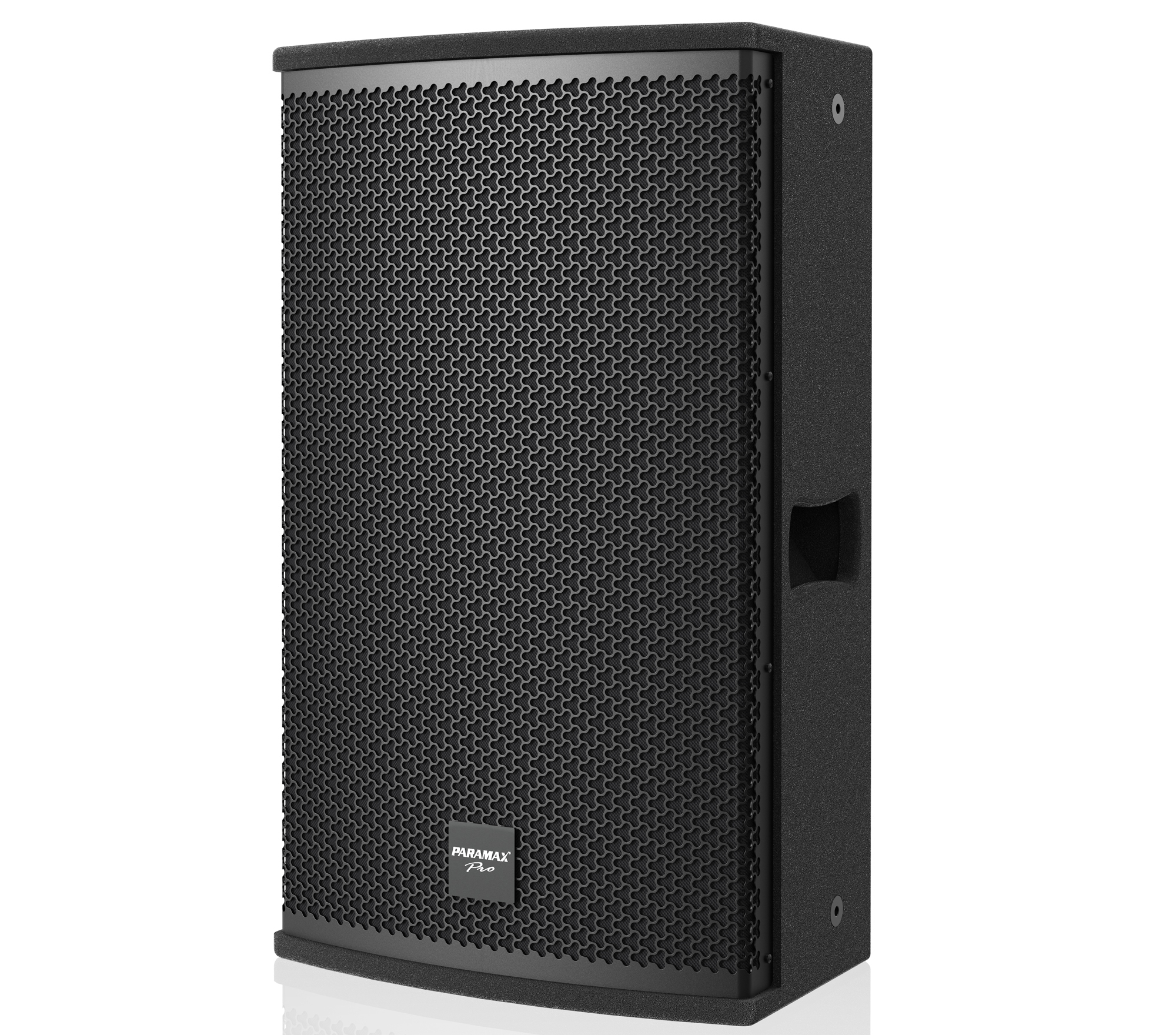 Loa Paramax Pro-S30