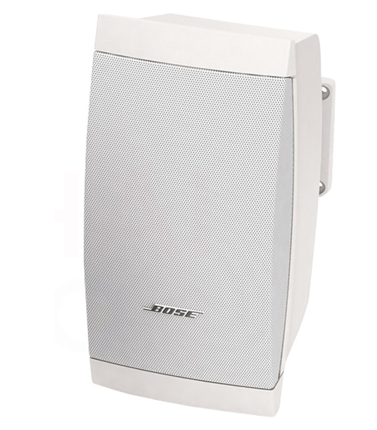 Loa treo tường Bose FreeSpace DS-16SE