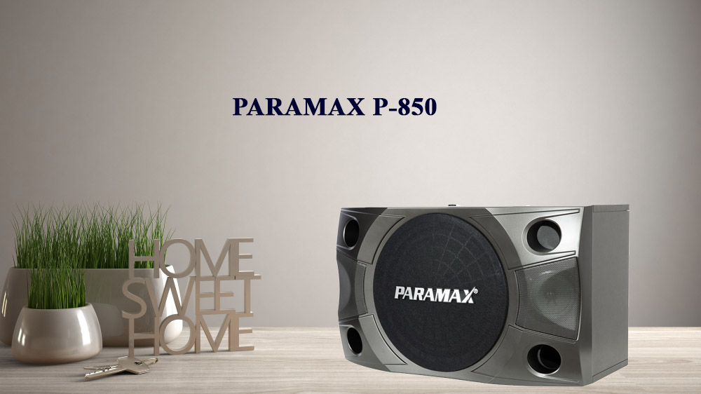 Loa karaoke Paramax P-850