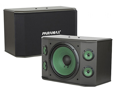 Loa karaoke Paramax K-1000