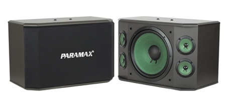 Loa karaoke Paramax K-1000