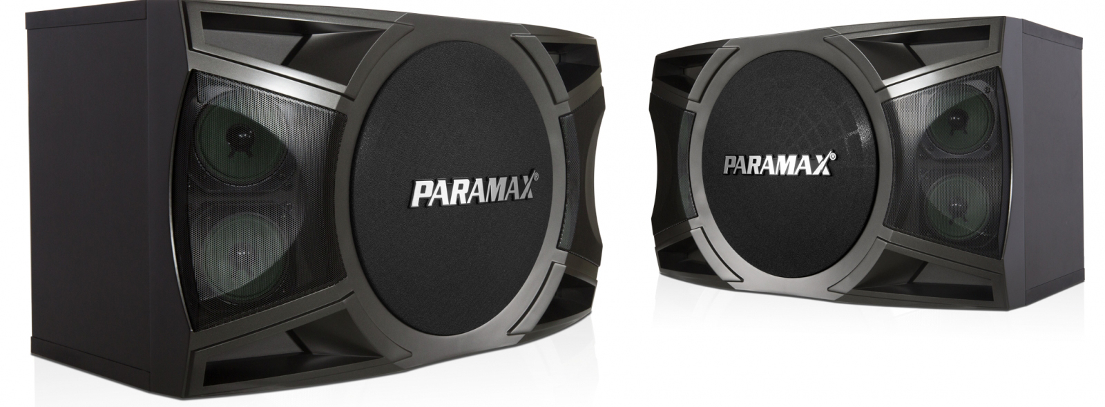Loa karaoke Paramax P-1000