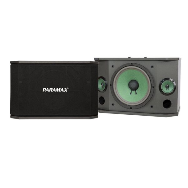 Loa karaoke Paramax K-850