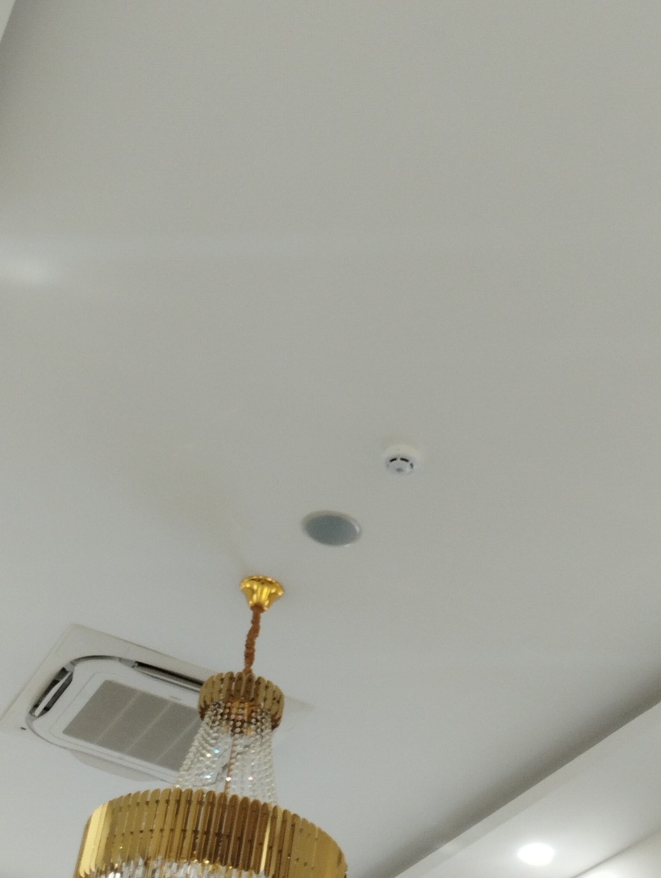 z3729349499922_712a4efaab34cbcd95c768dfed75093f