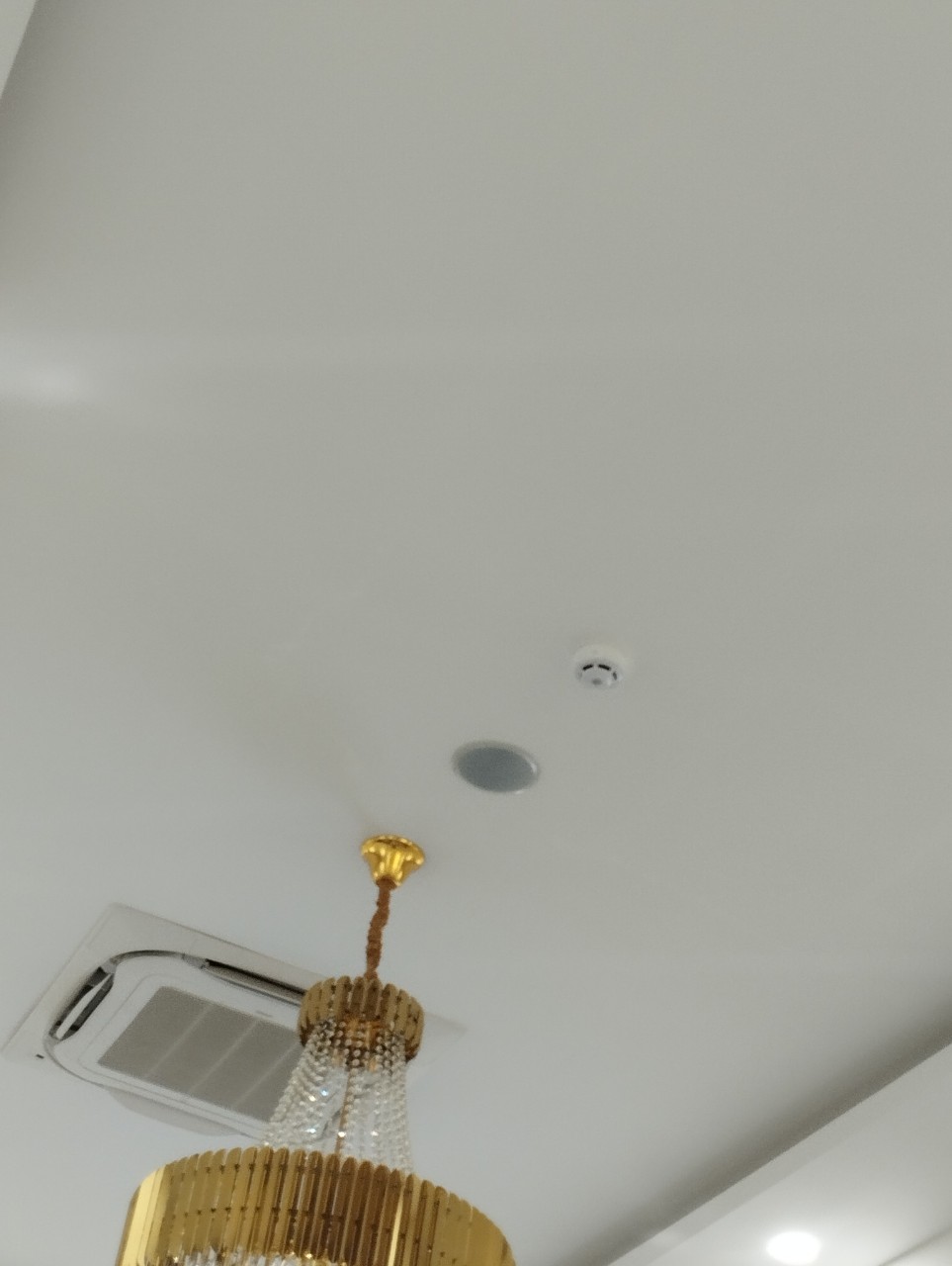 z3729349502870_ccf4cff1b9a42f0d6f178e11dc96e99c