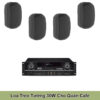 Dàn Loa Treo Tường 30W Cho Quán Cafe 100-120M2