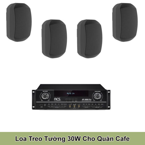 Dàn Loa Treo Tường 30W Cho Quán Cafe 100-120M2