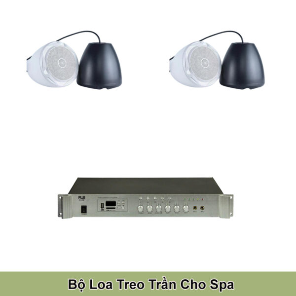 Cấu Hình Loa Treo Trần Cho Spa