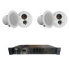 Combo 2 Loa Âm Trần FLB CLS-520