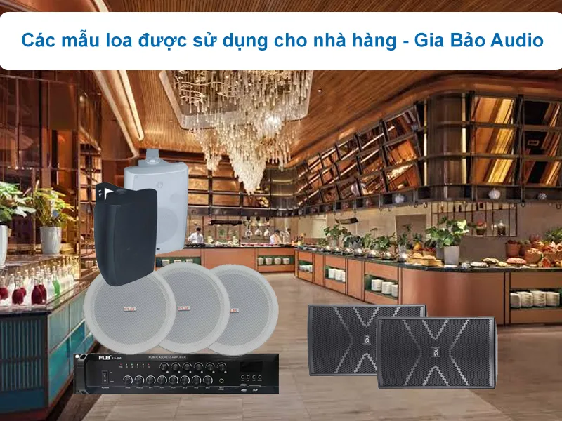 Các mẫu loa hay sử dụng cho nhà hàng