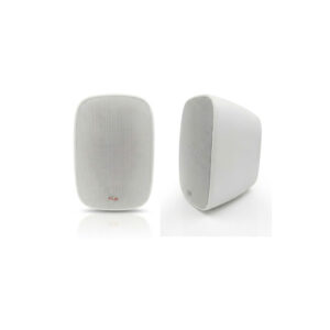 Loa Treo Tường FLB BD-401